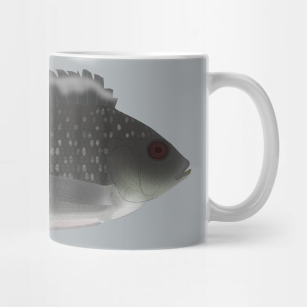 Blue Spotted Tilapia by FishFolkArt